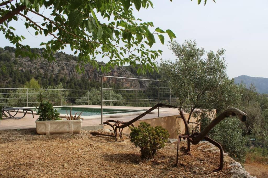 Olivar De S'heretat Trekking/ruta Gr-221 Apartment Soller