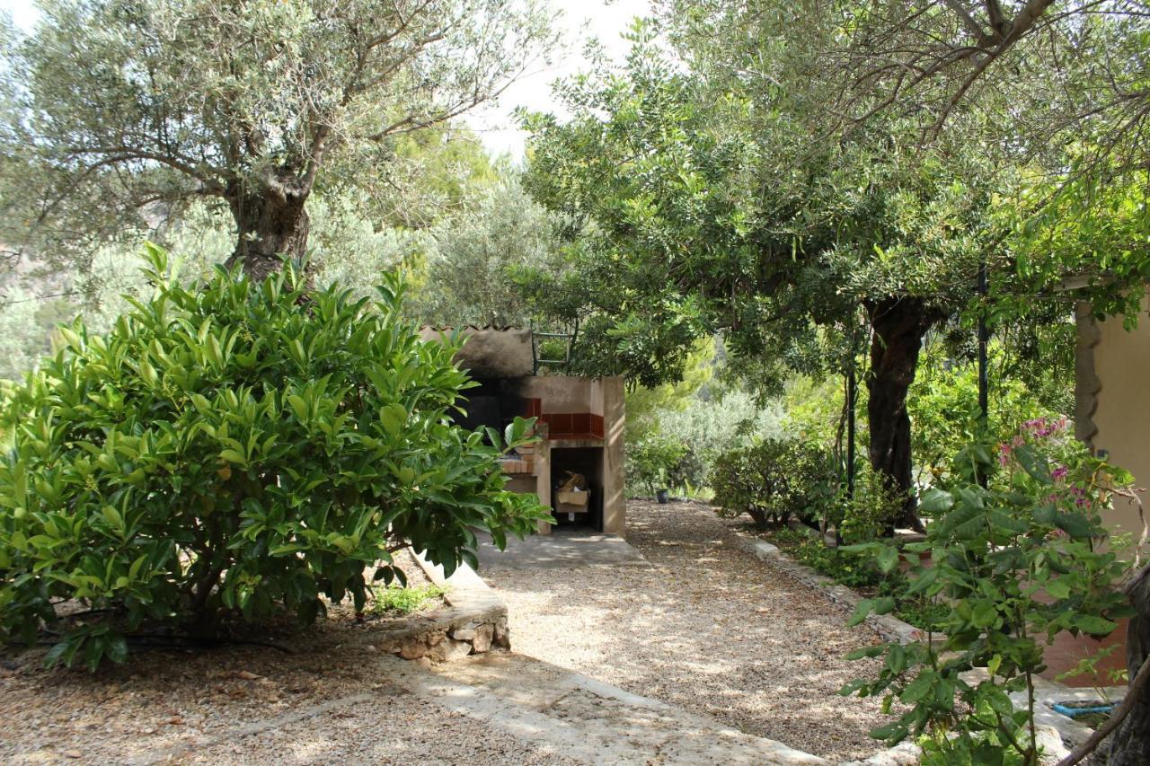 Apartment Olivar De S'heretat Trekking/ruta Gr-221