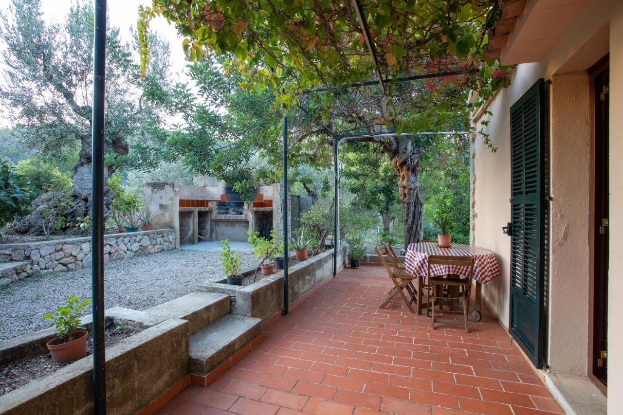 Olivar De S'heretat Trekking/ruta Gr-221 Apartment *