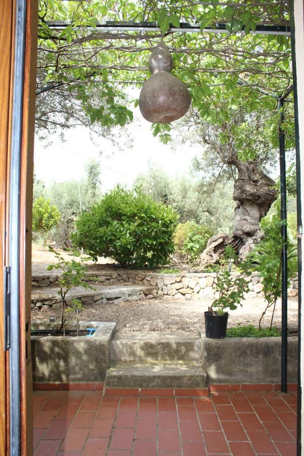 Olivar De S'heretat Trekking/ruta Gr-221 Apartment *